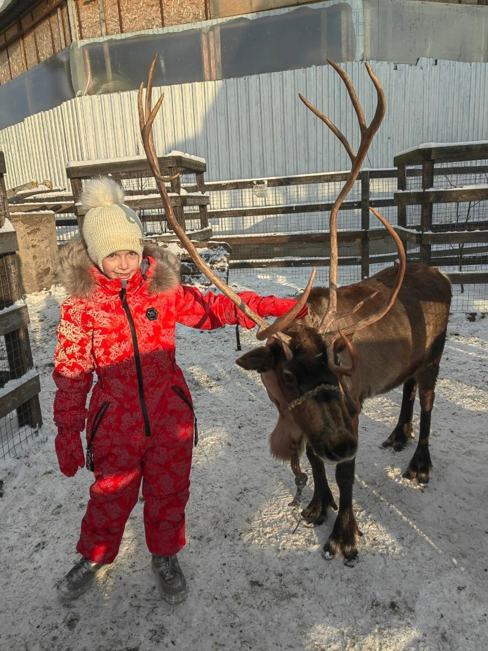 В гости к северным оленям | 02.12.2023. Галерея Фантим