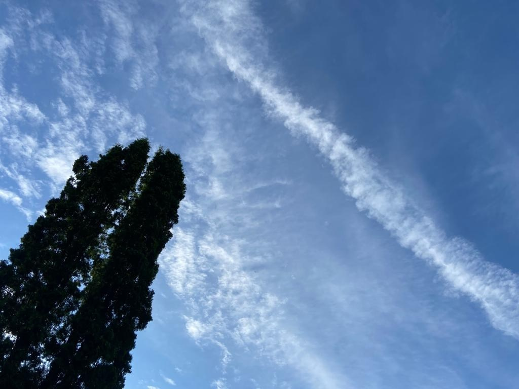 Звенигород | 29.06.2023. Галерея Фантим