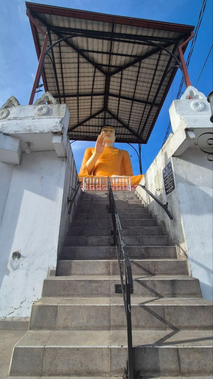 Шри-Ланка | 31.01 — 10.02.2025. Галерея Фантим