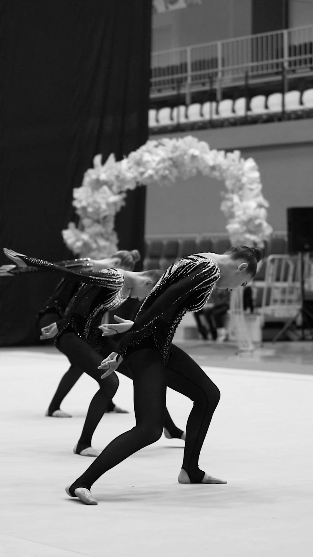 Турнир по эстетической гимнастике «Мелодия весны». Спортивный фотограф Александр Васильев