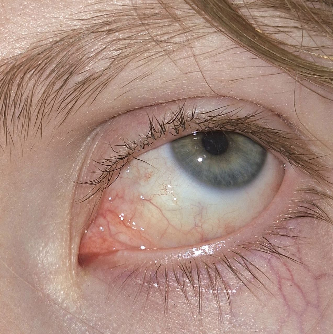 Ненужный опыт 1. Анна Мильч