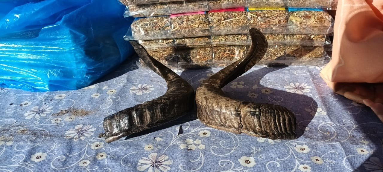 Кабардино-Балкария | 04-06.10.2024. Галерея Фантим