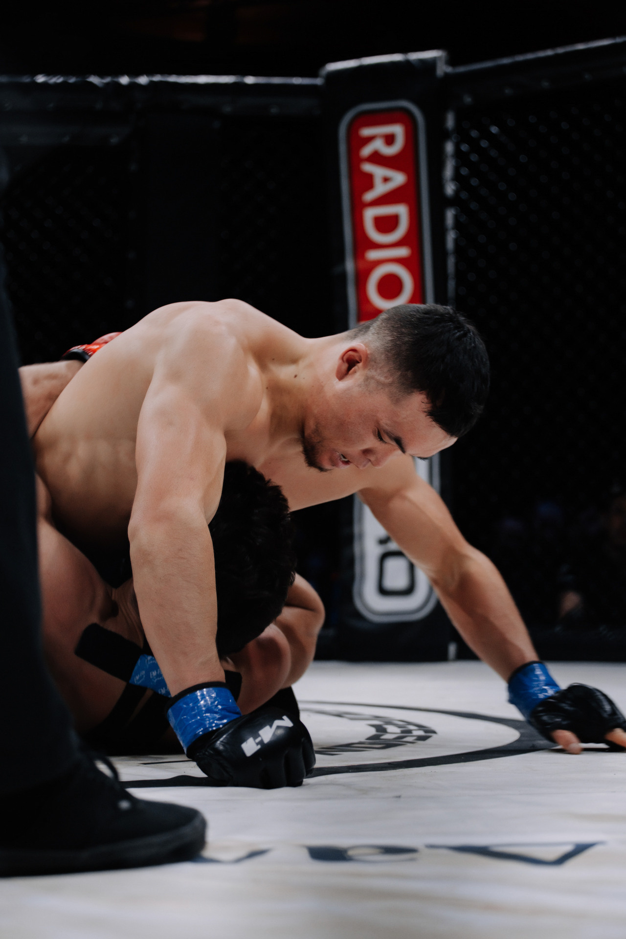 KINGDOM PROFESSIONAL FIGHT 5. Photographer — ERASTOV