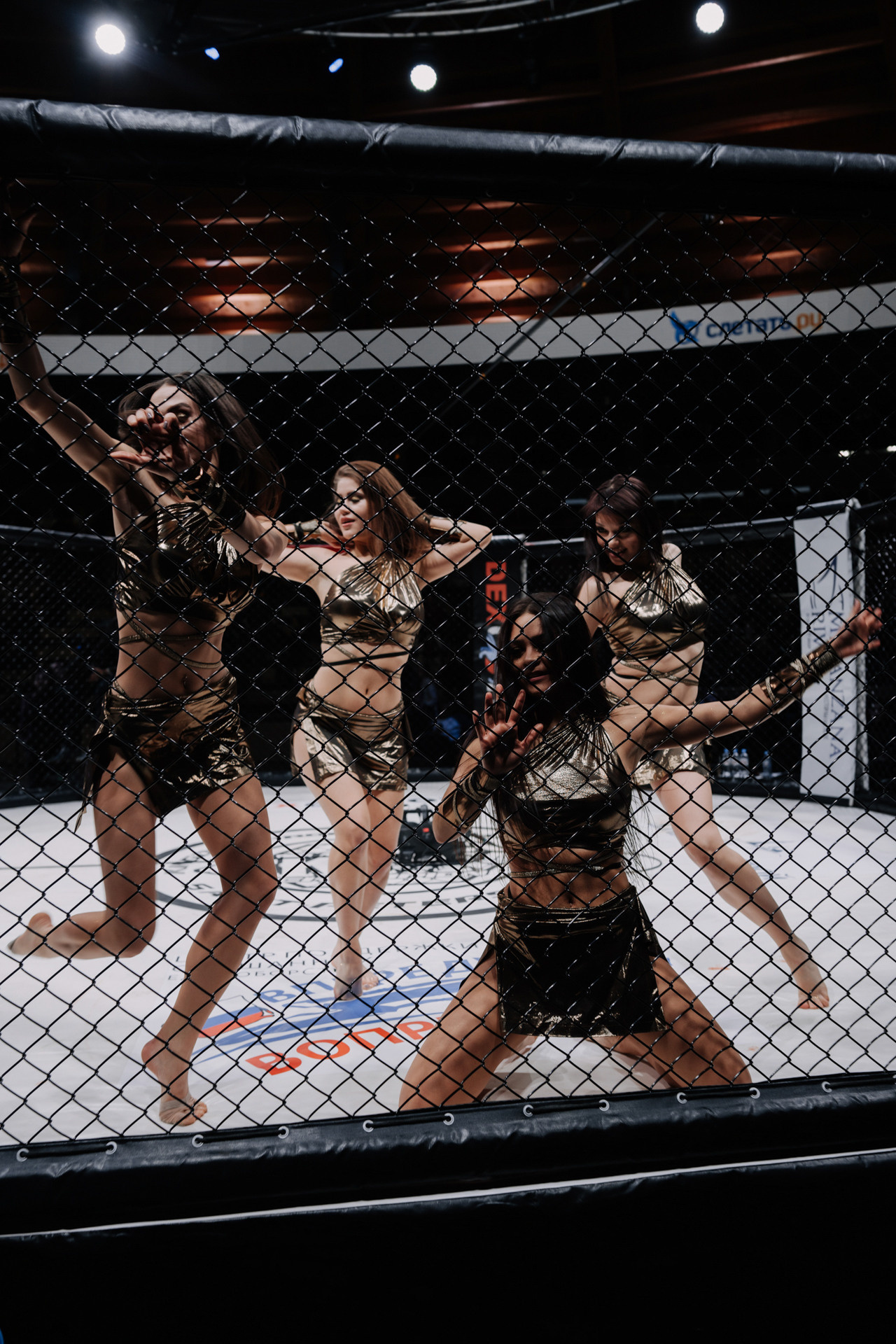 KINGDOM PROFESSIONAL FIGHT 5. Photographer — ERASTOV