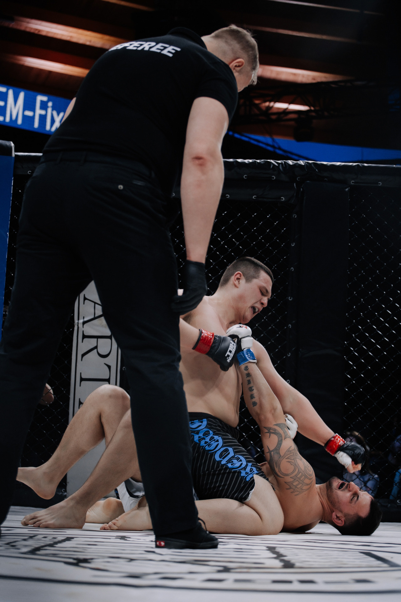 KINGDOM PROFESSIONAL FIGHT 5. Photographer — ERASTOV
