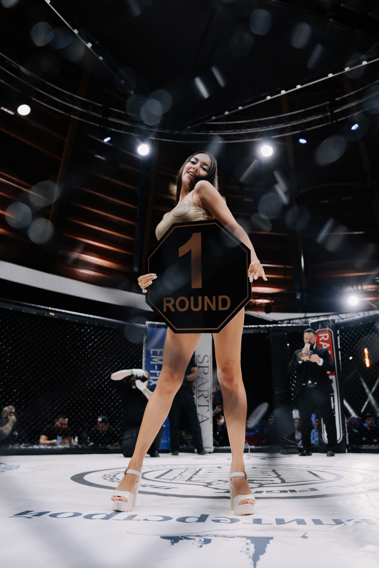 KINGDOM PROFESSIONAL FIGHT 5. Photographer — ERASTOV