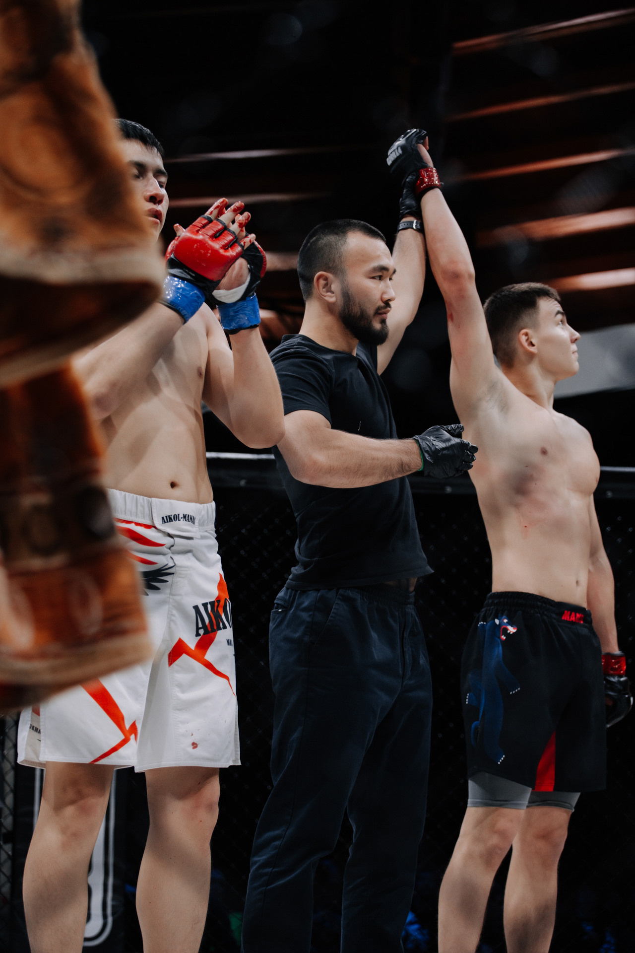 KINGDOM PROFESSIONAL FIGHT 5. Photographer — ERASTOV