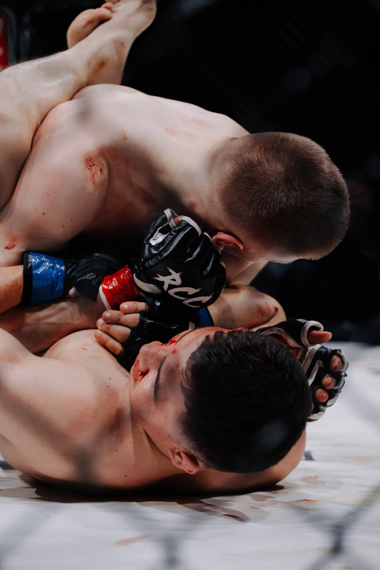 KINGDOM PROFESSIONAL FIGHT 5. Photographer — ERASTOV