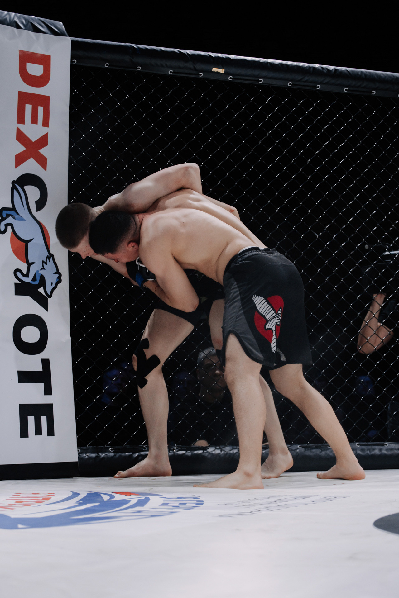 KINGDOM PROFESSIONAL FIGHT 5. Photographer — ERASTOV