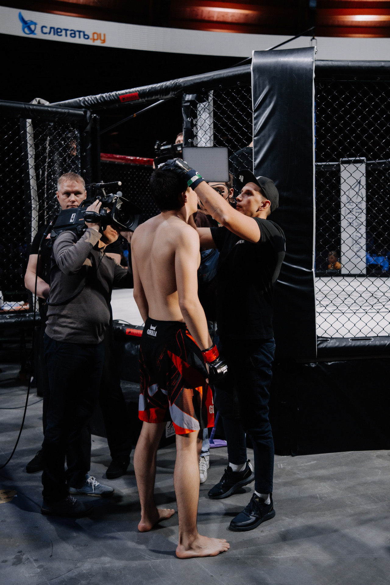 KINGDOM PROFESSIONAL FIGHT 5. Photographer — ERASTOV