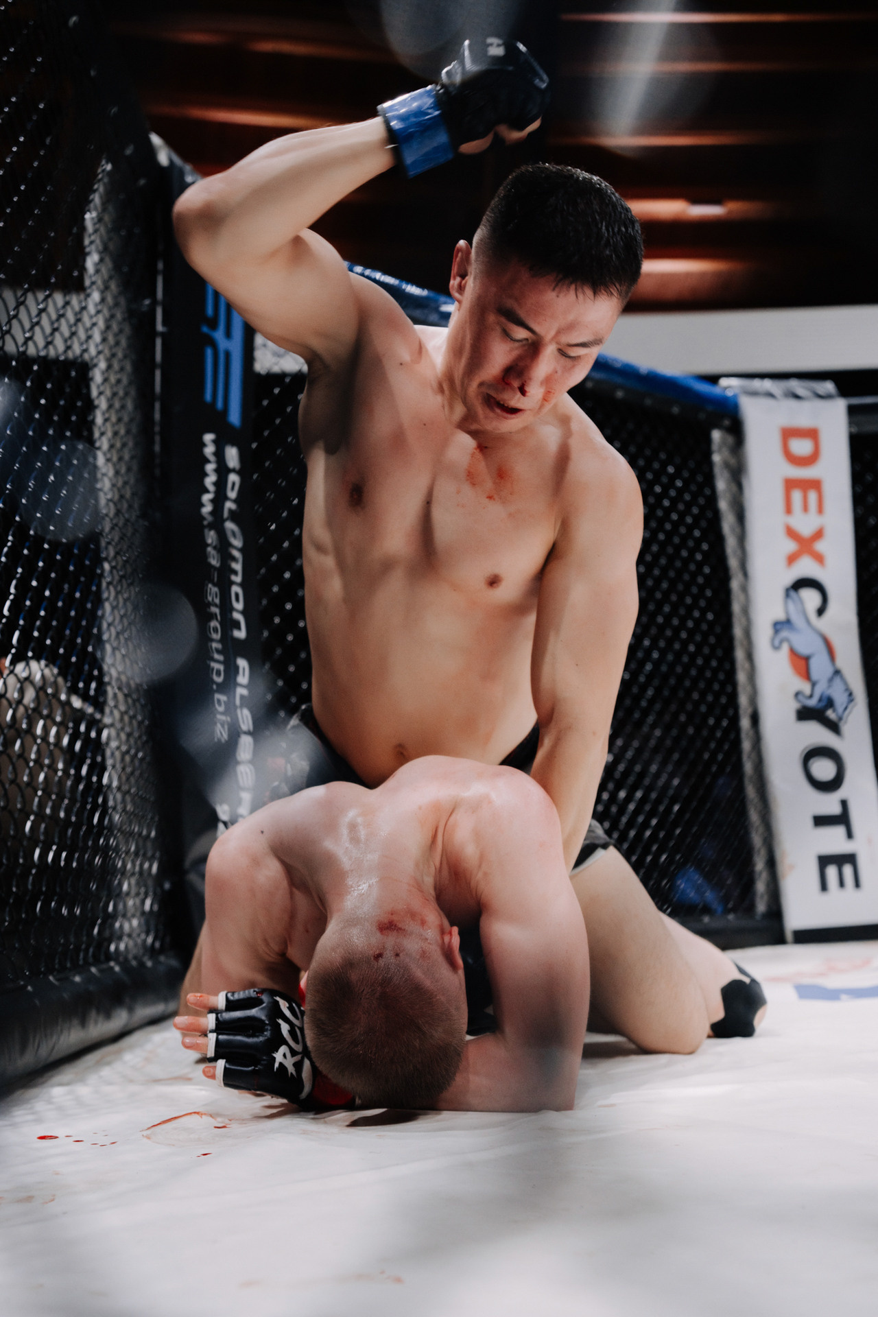 KINGDOM PROFESSIONAL FIGHT 5. Photographer — ERASTOV