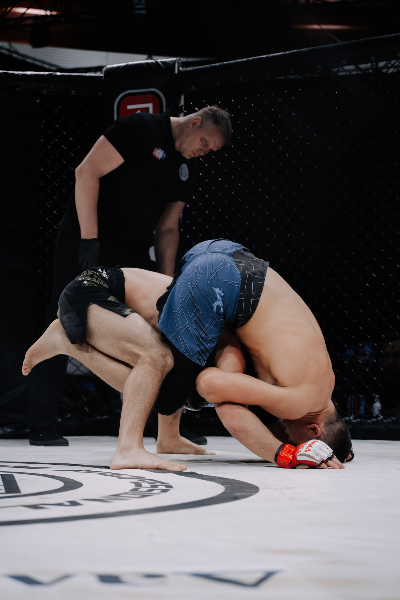 KINGDOM PROFESSIONAL FIGHT 5. Photographer — ERASTOV