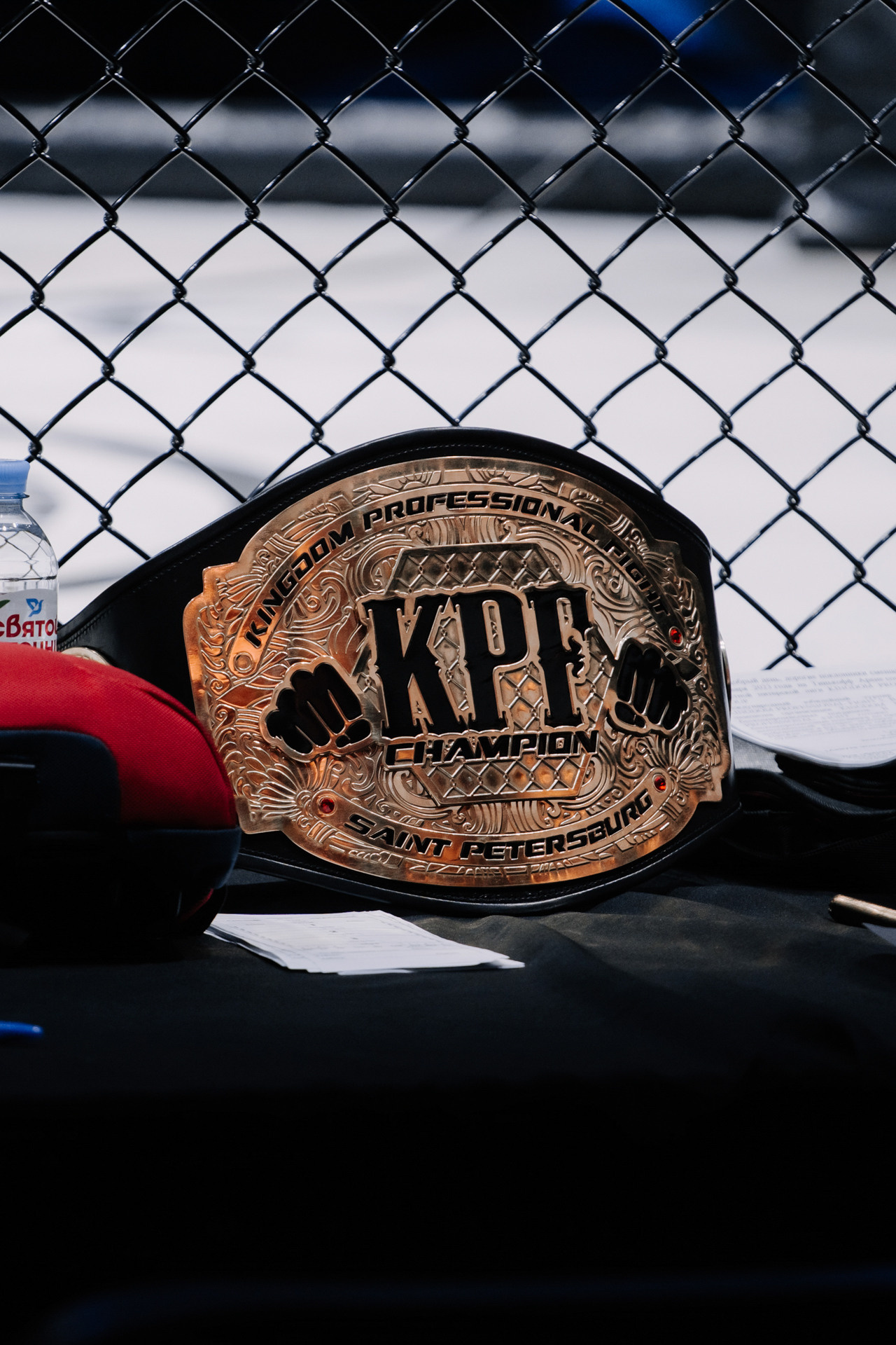 KINGDOM PROFESSIONAL FIGHT 5. Photographer — ERASTOV