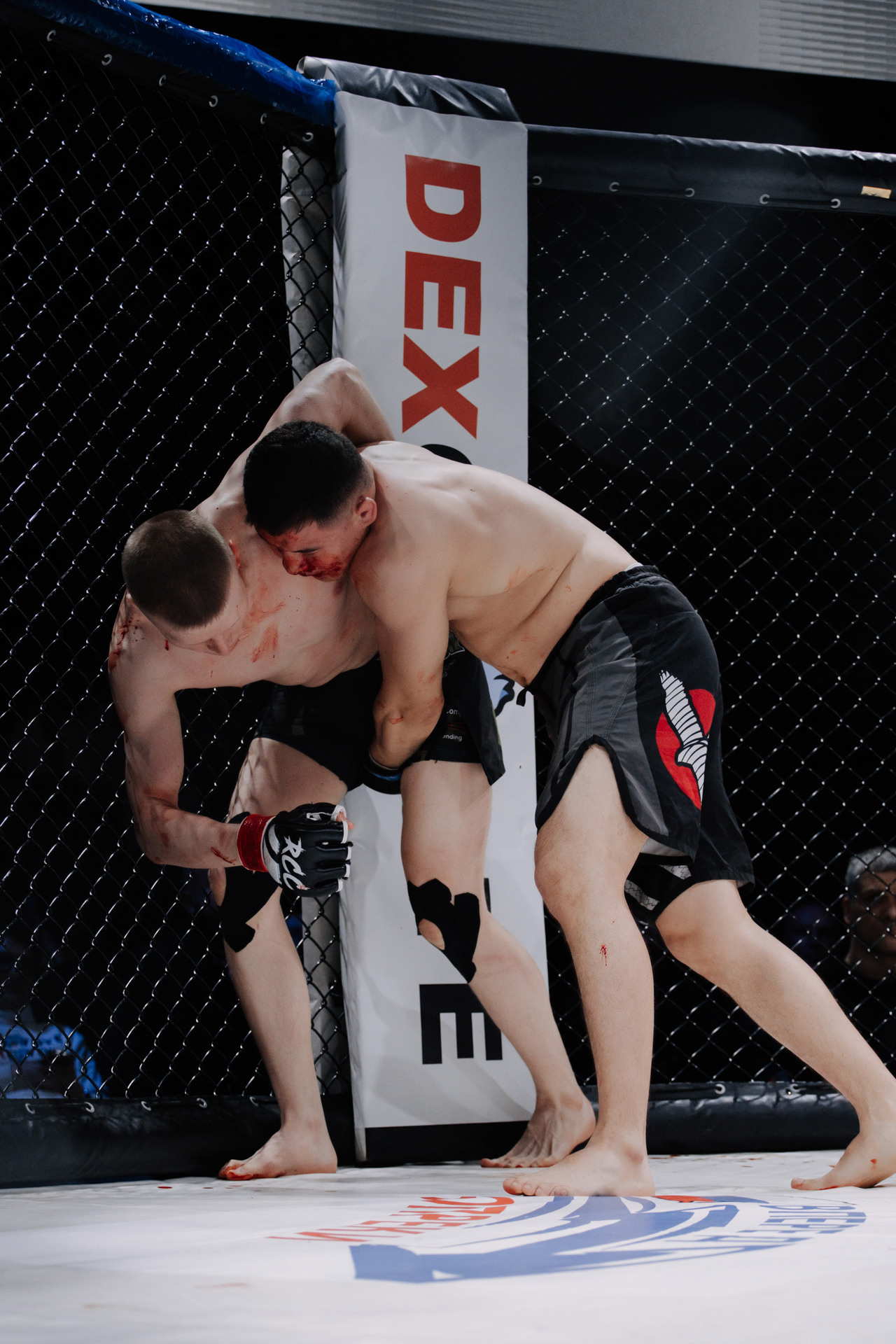 KINGDOM PROFESSIONAL FIGHT 5. Photographer — ERASTOV