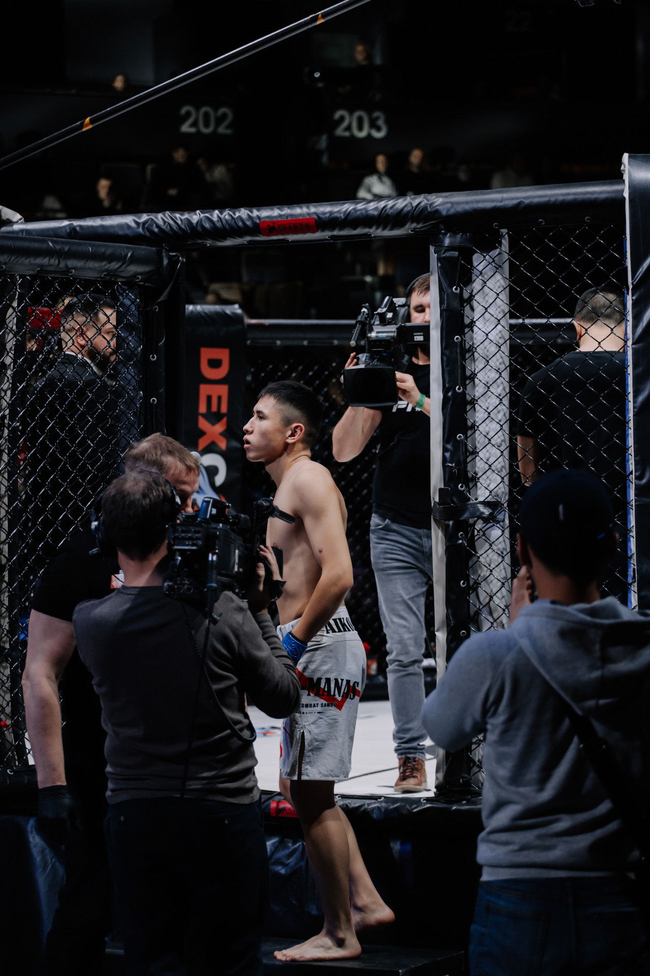 KINGDOM PROFESSIONAL FIGHT 5. Photographer — ERASTOV