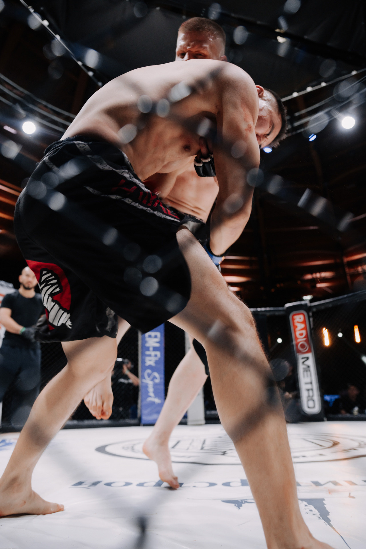 KINGDOM PROFESSIONAL FIGHT 5. Photographer — ERASTOV