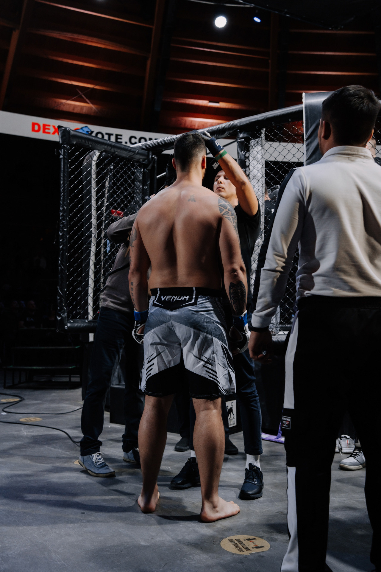 KINGDOM PROFESSIONAL FIGHT 5. Photographer — ERASTOV