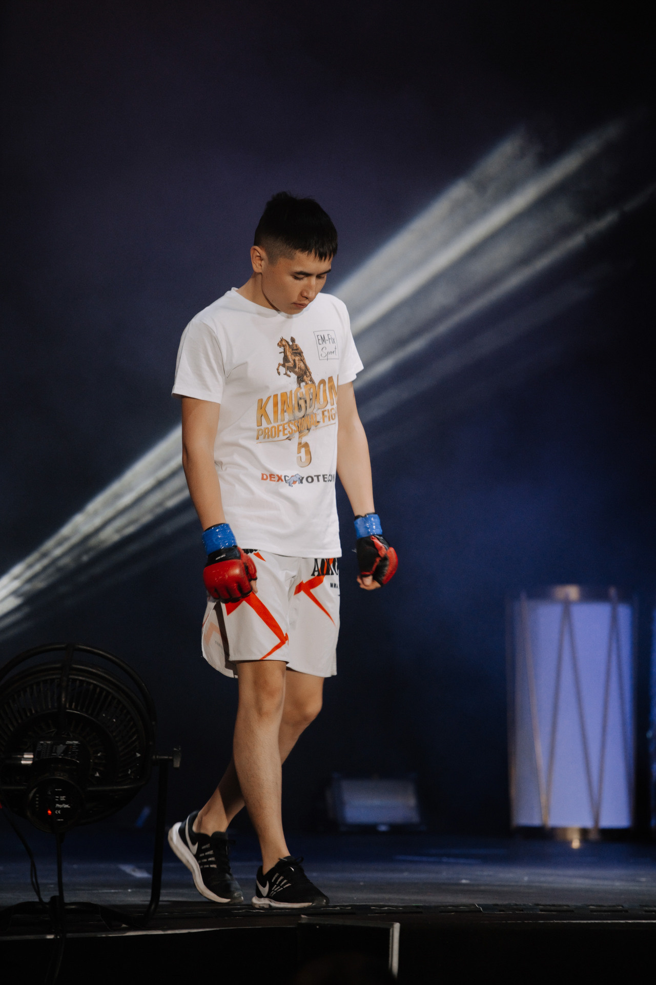 KINGDOM PROFESSIONAL FIGHT 5. Photographer — ERASTOV
