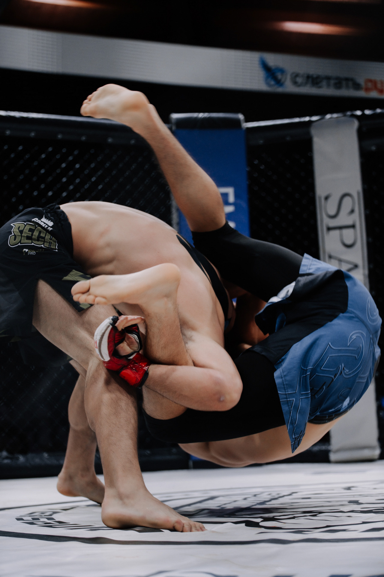 KINGDOM PROFESSIONAL FIGHT 5. Photographer — ERASTOV