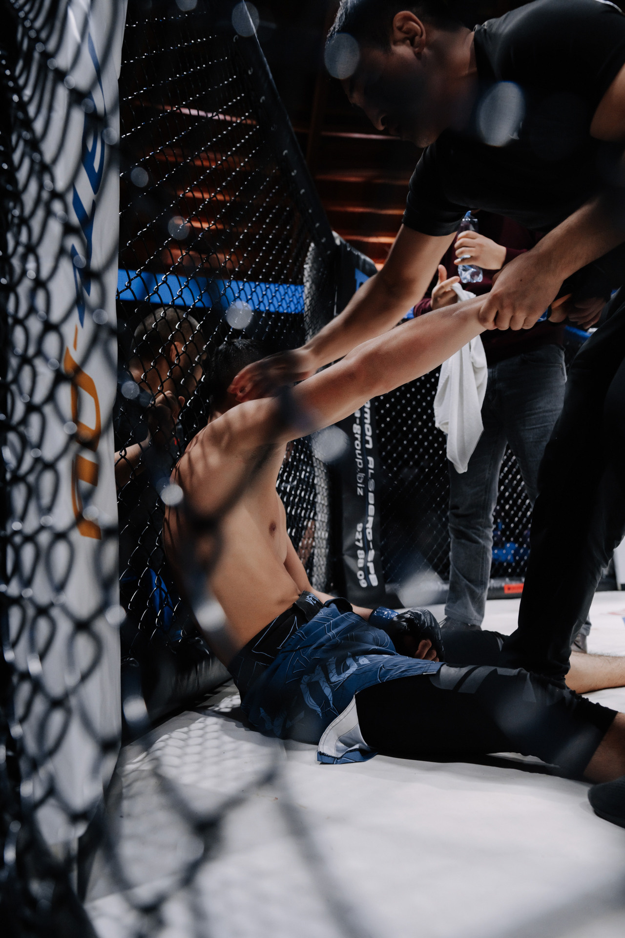 KINGDOM PROFESSIONAL FIGHT 5. Photographer — ERASTOV