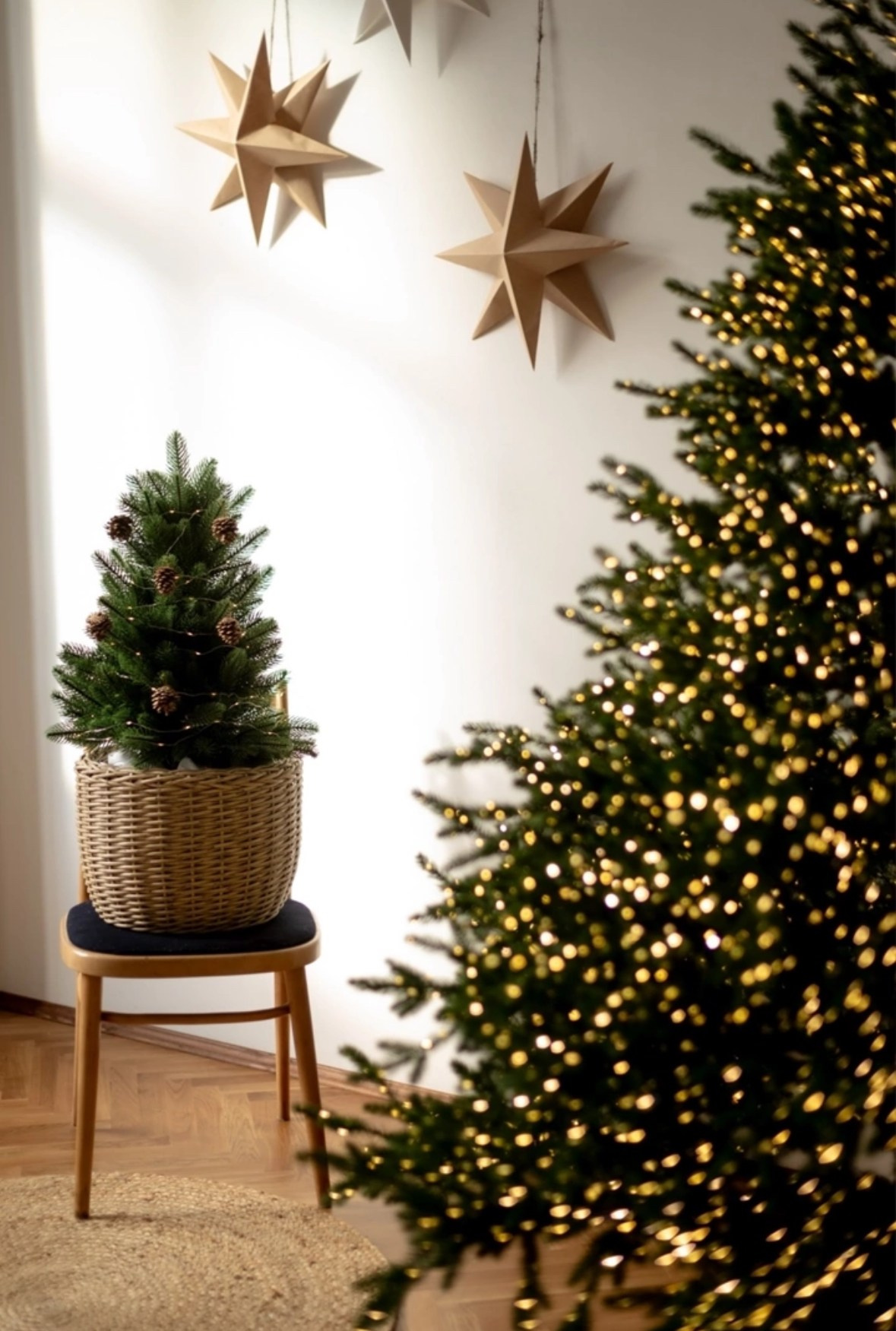 Локации для новогодних съёмок 2024-2025. Свадебный и контент фотограф в Белгороде Ярослав Гаврилейченко