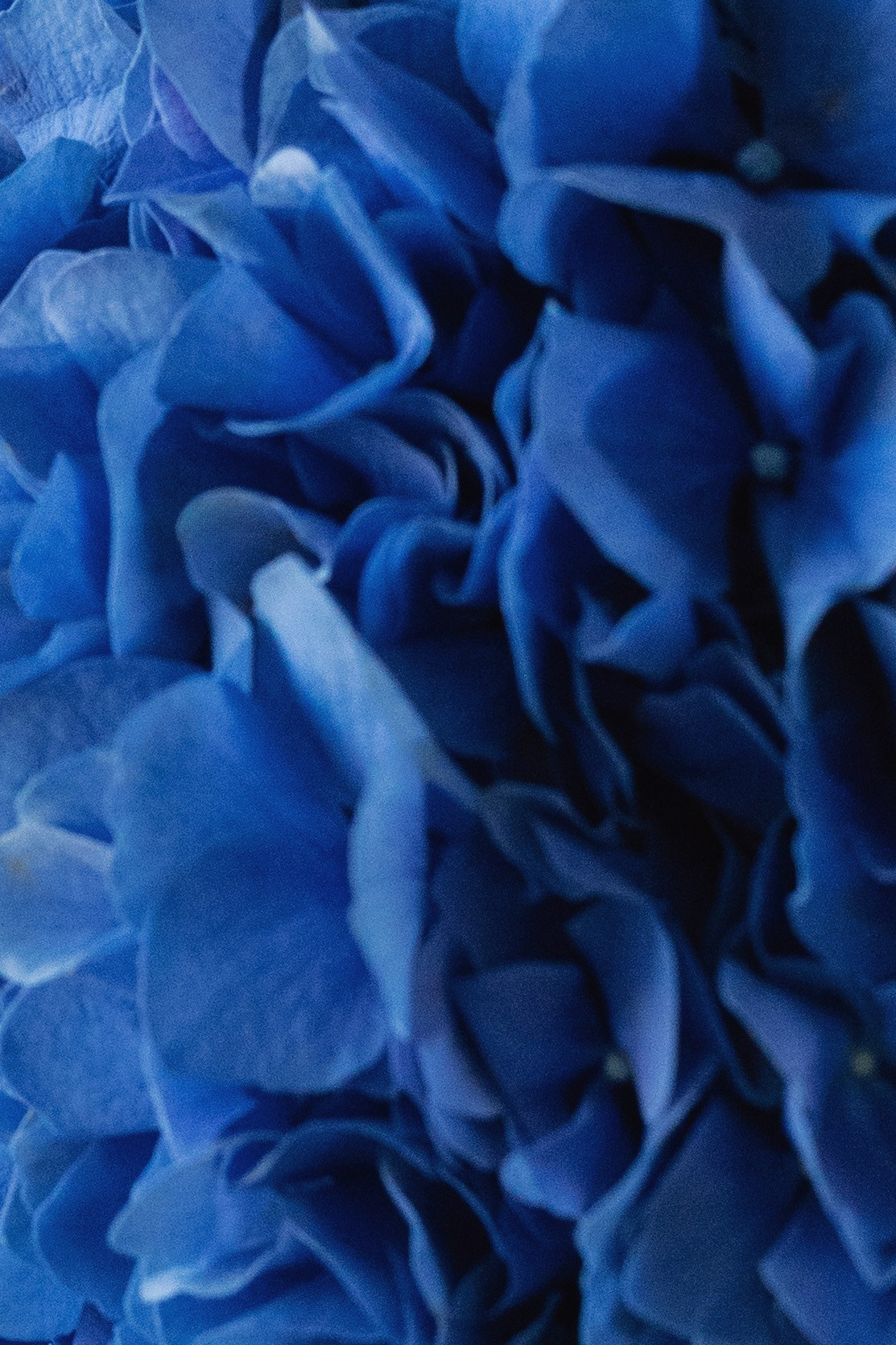 Valerian & Alina. Фотограф в Томске Ирина Павлуцкая