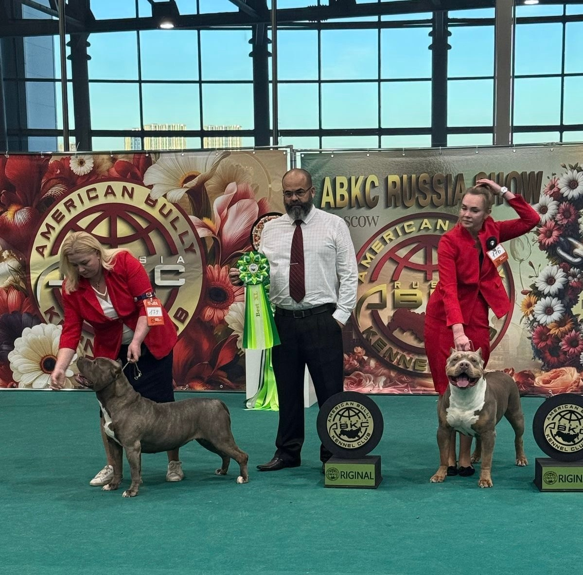 Участие в выставках. Американские булли XL в г. Калининград. Питомник Great Bully UNIVERSE