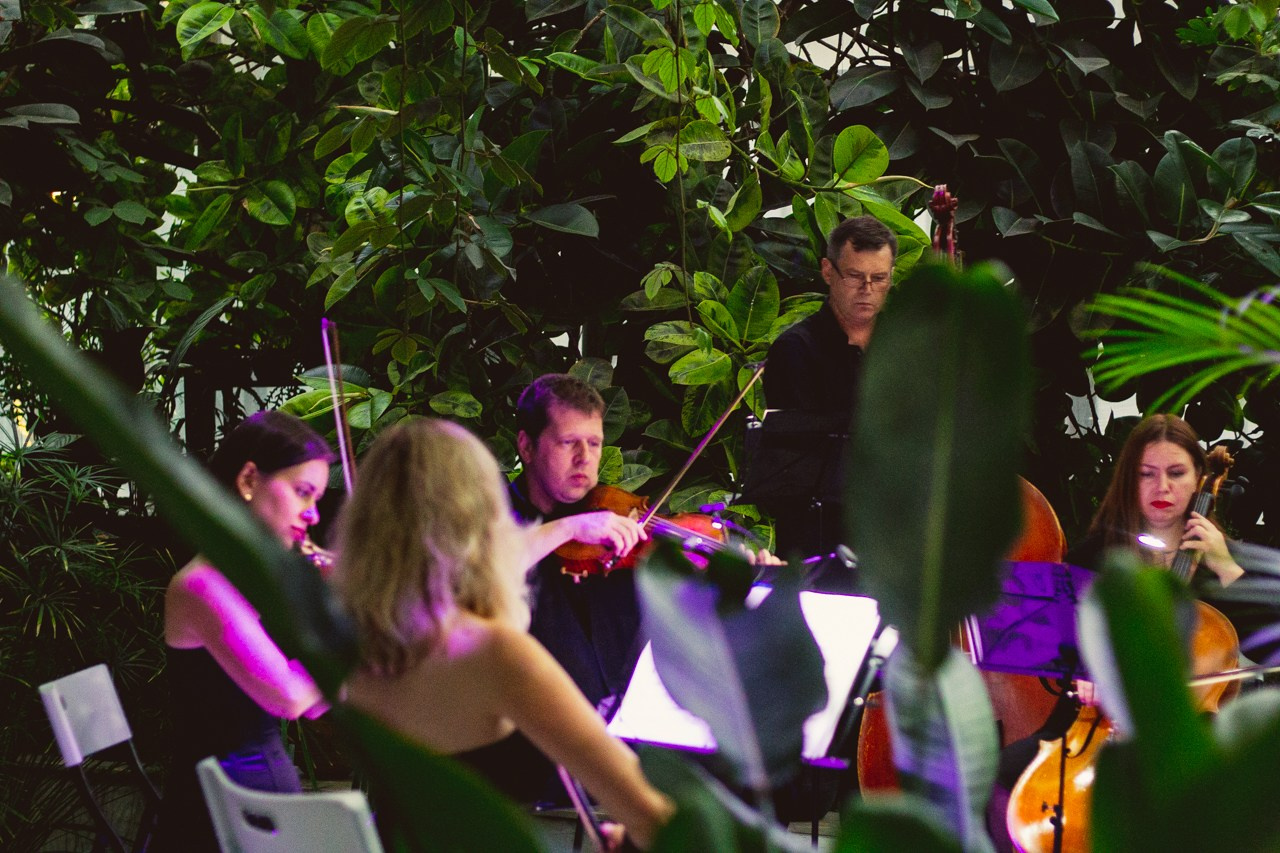 Petro Art — квартет в Таврическом саду (Рок Хиты). EvgenyCraft