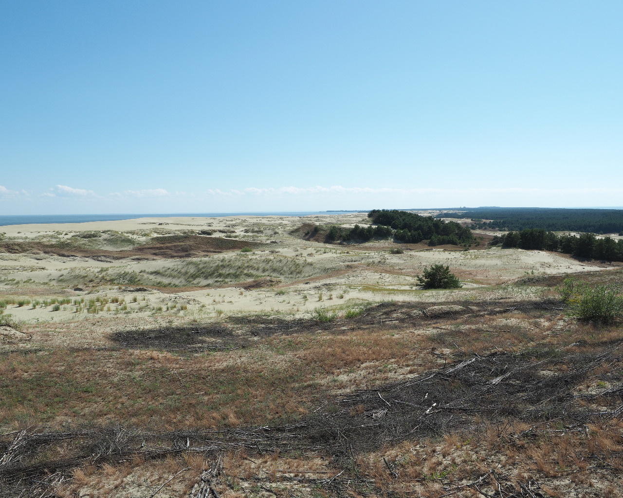 Куршская коса. Экскурсии по Калининграду