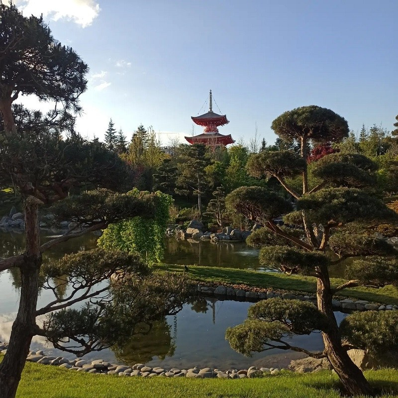 КРАСНОДАР. Свадебный и семейный фотограф/видеограф в Краснодаре Наталья Осинская