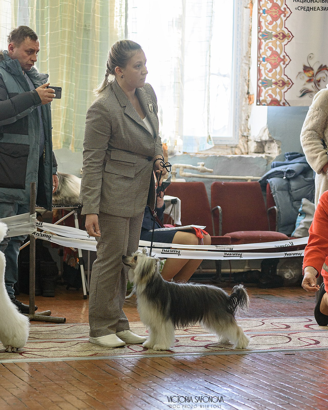 3–4 февраля 2024 Благовещенск. Фотограф анималист Благовещенск. Сафонова Виктория