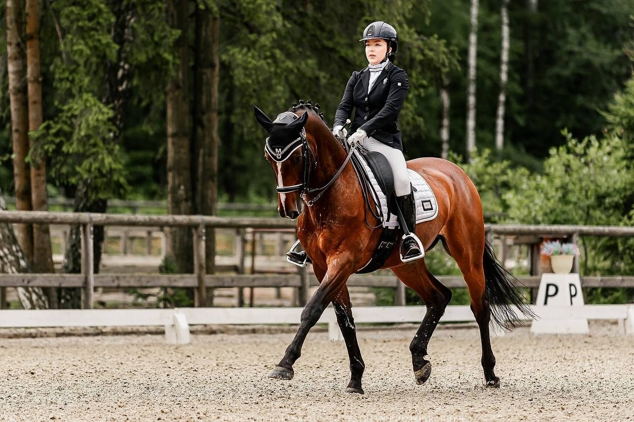 Третий этап КУБКА КСК «АЛМАЗОВО» по ВЫЕЗДКЕ. Конный фотограф Куракина Дарья • Фотосессии с лошадьми