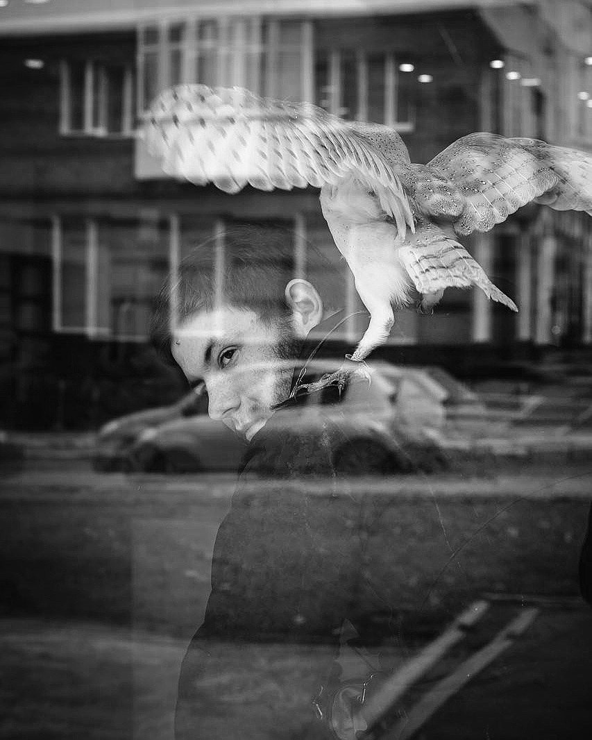 фотосессия индивидуальная, персональная фотосессия, творческая фотография, творческое фото, фотосессия под водой, подводная фотография, под водой, семейный фотограф, детский фотограф, семейная фотография, детская фотограф животных, собаки, фотосессия в студии, фотограф в студии, модельный фотограф, фотограф Максим Дьяконов, Максим Дьяконов, фотограф в Москве, Фотограф в Московской области фотография, свадебная фотография , фотография животных