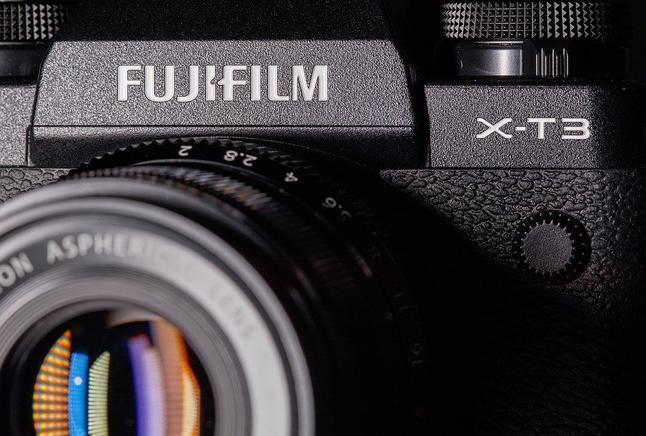 Фотограф животных в Москве и Московской области. Профессиональный фотограф в Москве — Максим Дьяконов