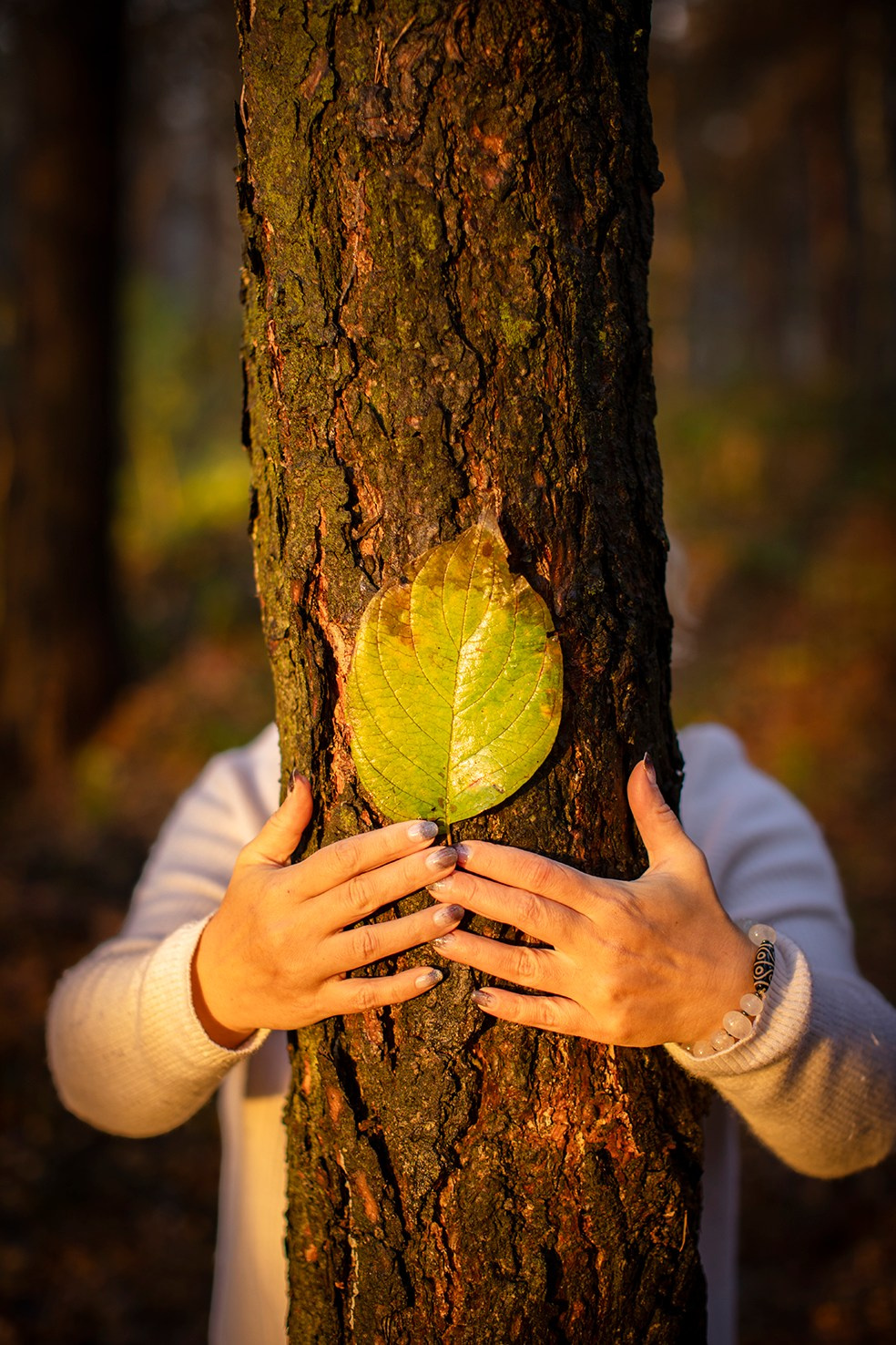 Волшебная осень. Фотограф Наталья Штукина