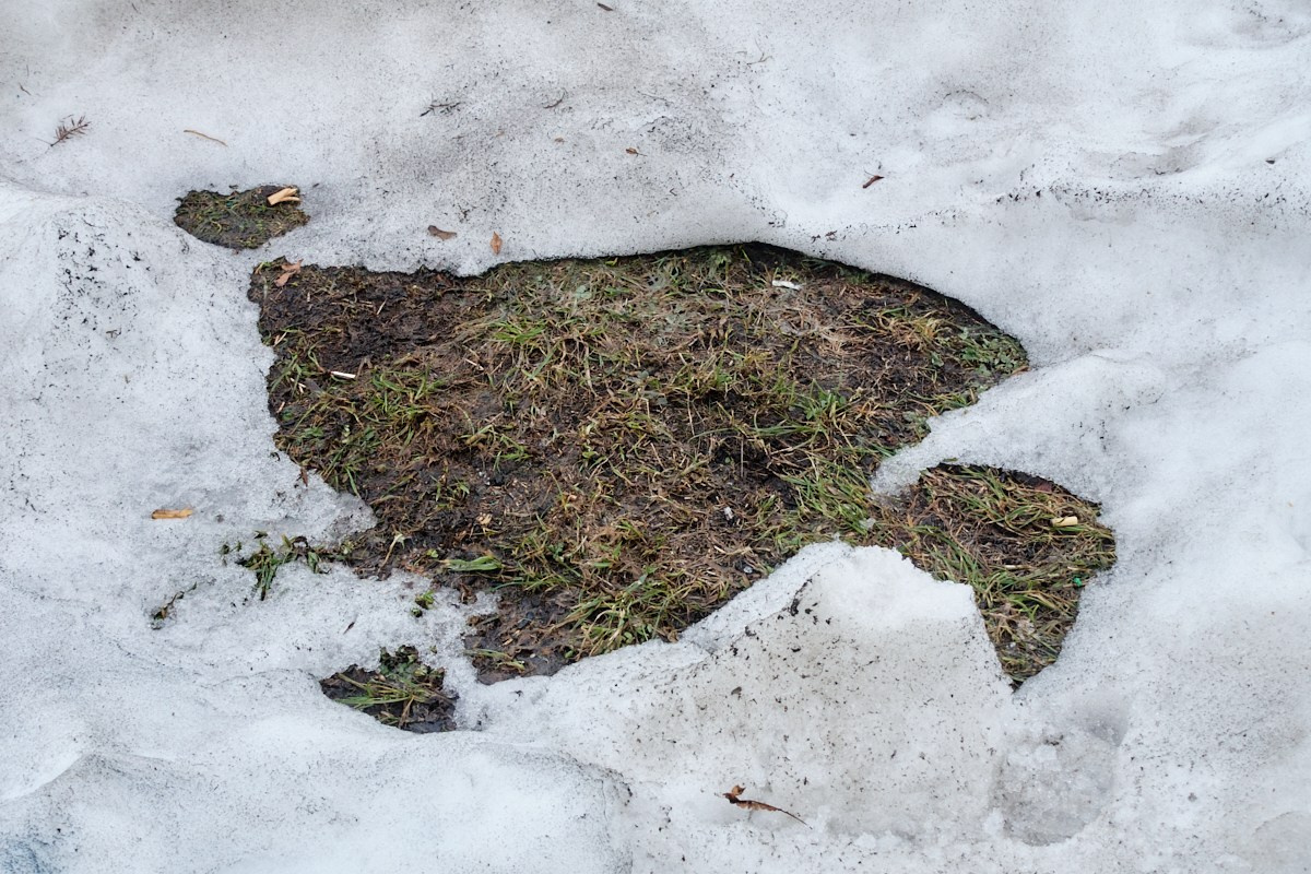 Слово, в котором стерли одну букву. Иван Кобяков