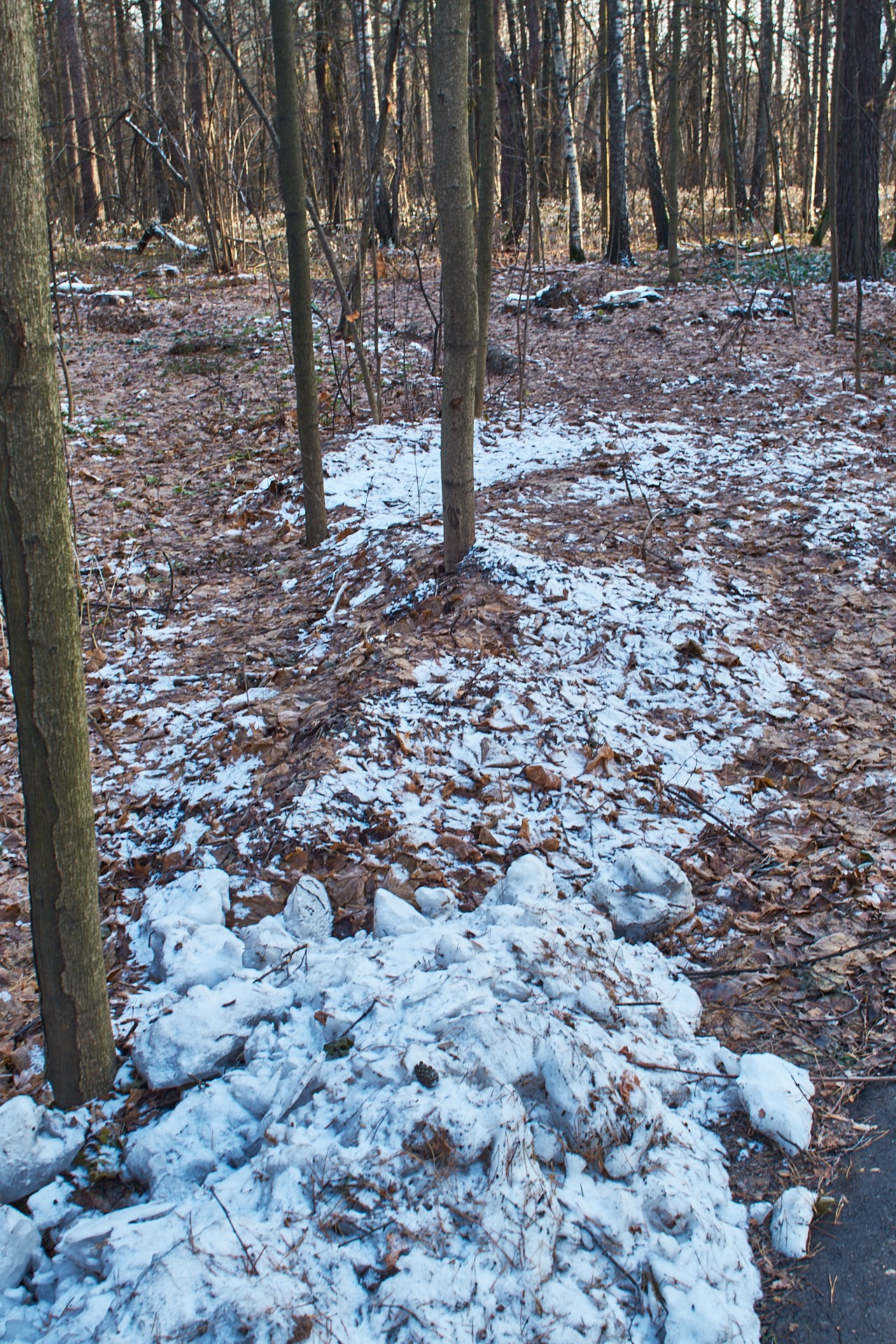 ЖИЗНЬ и СМЕРТЬ. Сайт фотографа Виталия Дени
