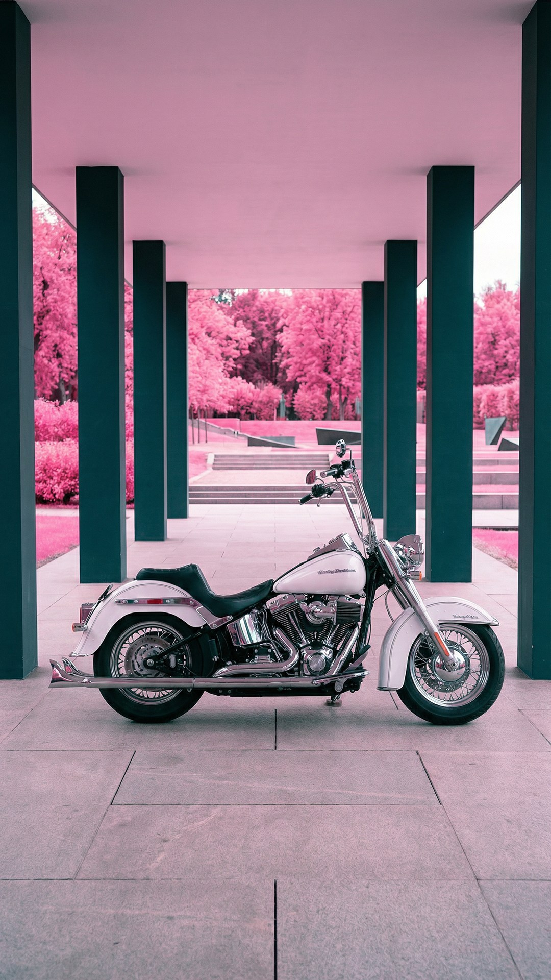 HARLEY-DAVIDSON. Фотограф в Москве Денис Курашев