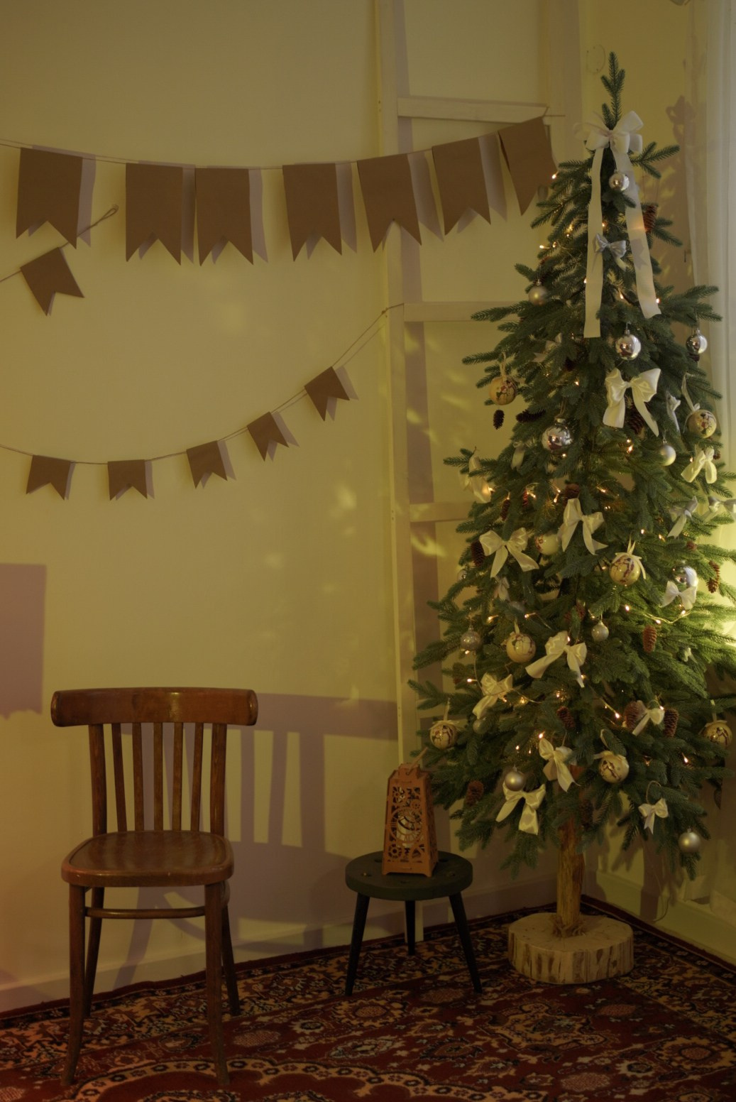 Новогодний Фотопроект в студии Art is…. Photographer in Montenegro