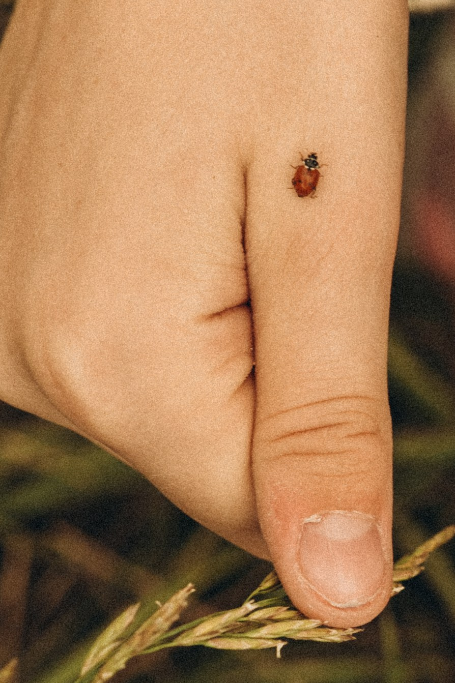 Вкус лета. Семейный фотограф в Мурманске Екатерина Юшкова