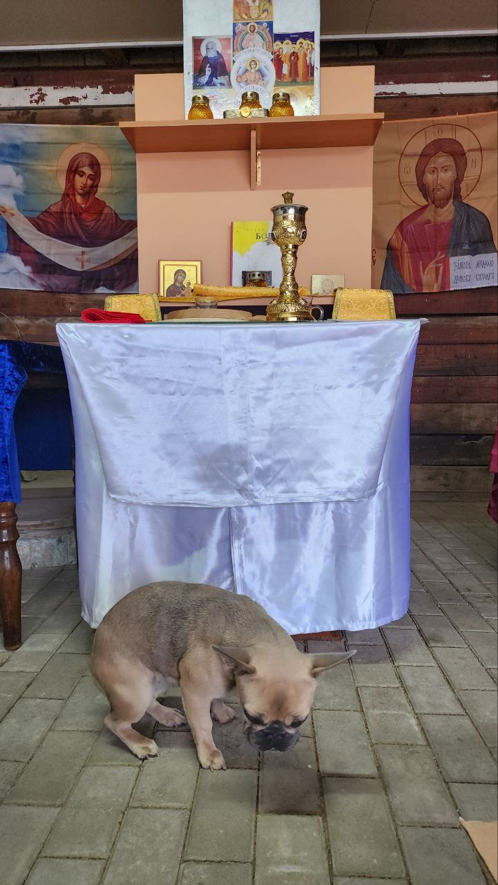 Литургия в Горячем Ключе (2024-09-21). Собор Отрасли