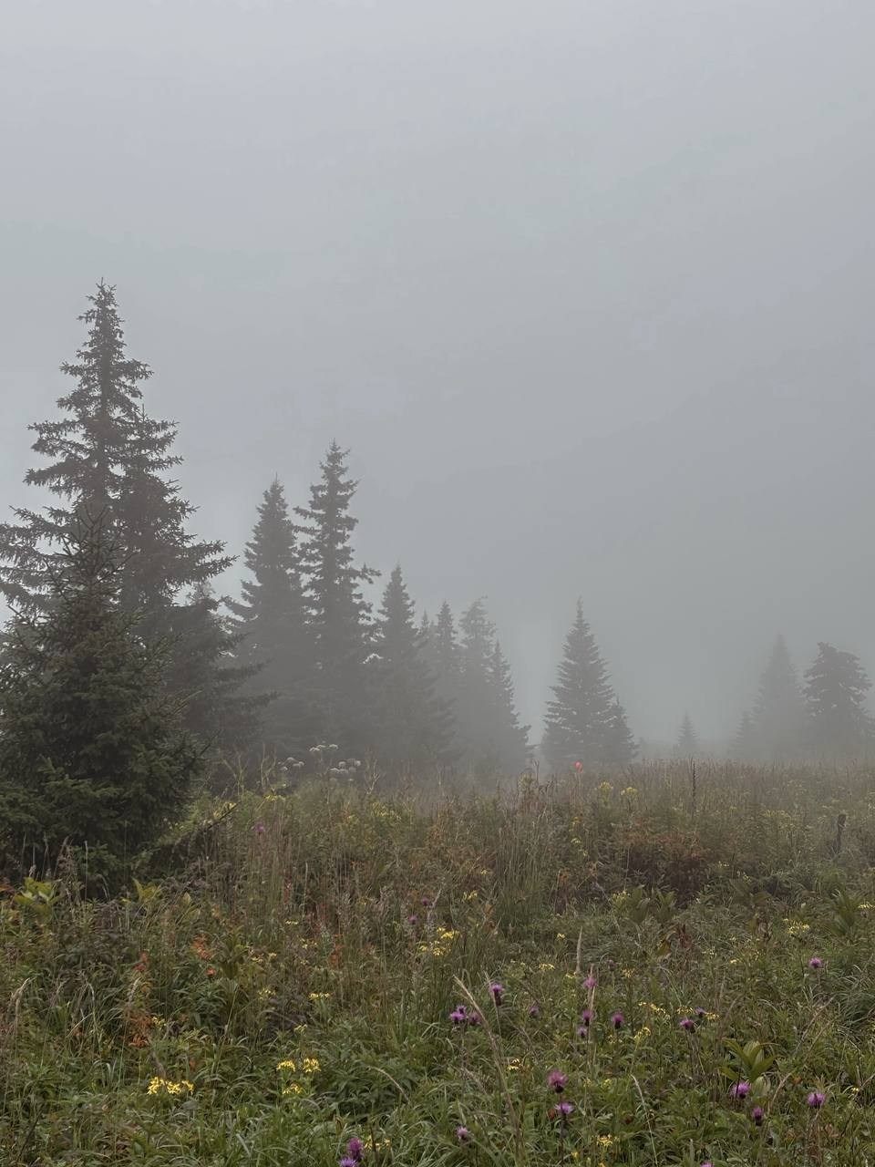 Фот с походов на Иремель — Время приключений