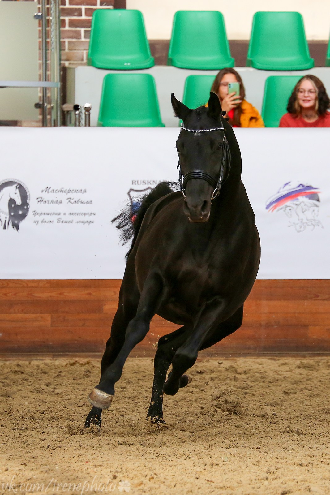 Конная Россия 2023. Irenephoto.ru