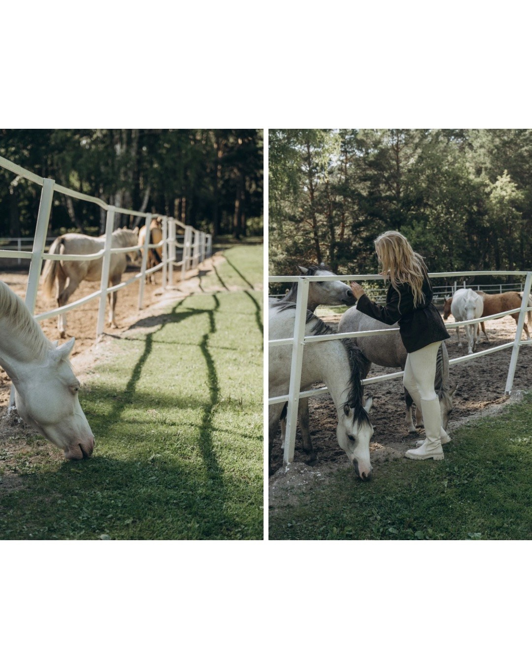 Портфолио. Контент-креатор | Кристина Щербакова