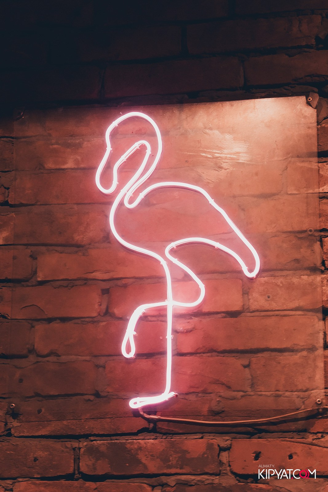 OLOVO BAR НА САТПАЕВА. КИПЯТКОМ АЛМАТЫ!