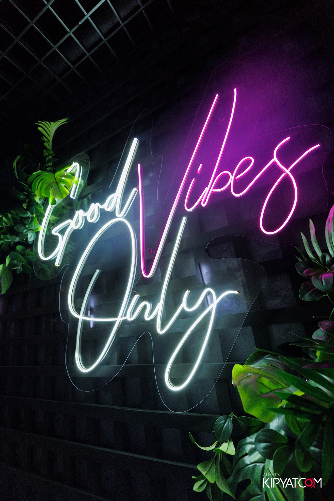 ДОРОГАЯ. Я НЕ ПИЛ. КИПЯТКОМ АЛМАТЫ! Фотосъемка мероприятий в Алматы