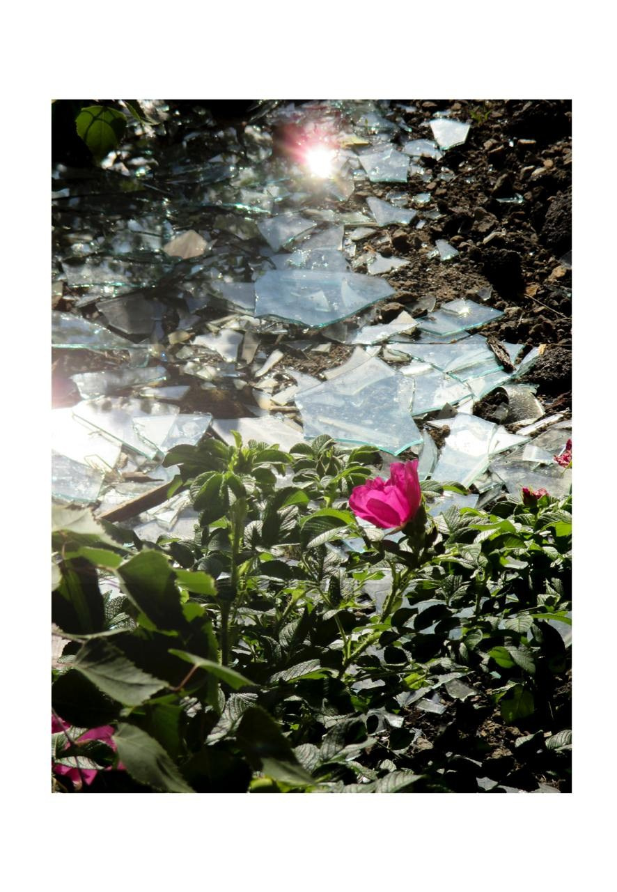 GULF OF FINLAND TRIP' June 2024. Nik Paustovskiy photography