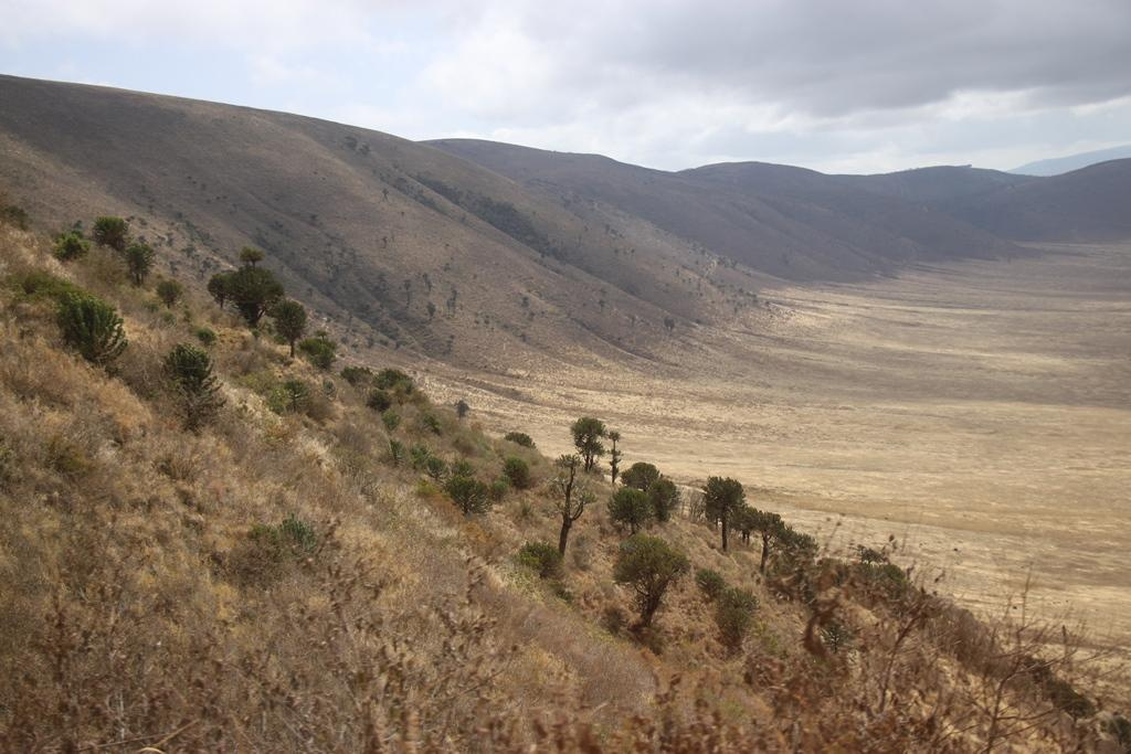 Ngorongoro Conservation Area. Andrey Filippov Photographer