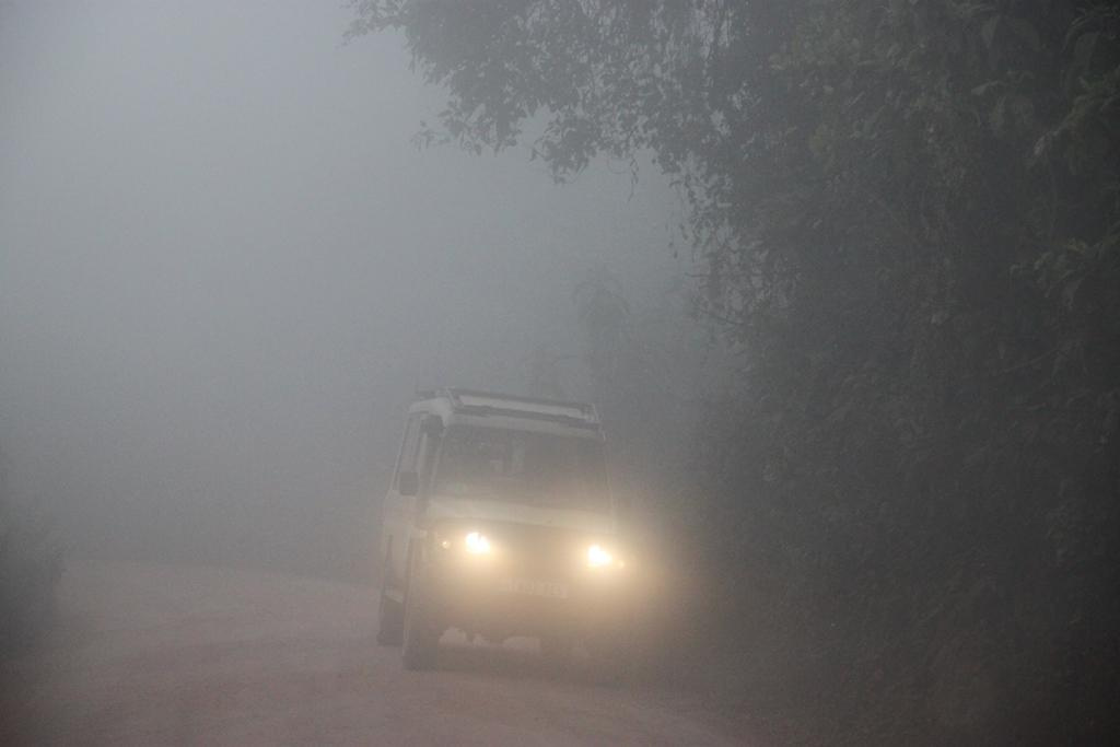 Ngorongoro Conservation Area. Andrey Filippov Photographer
