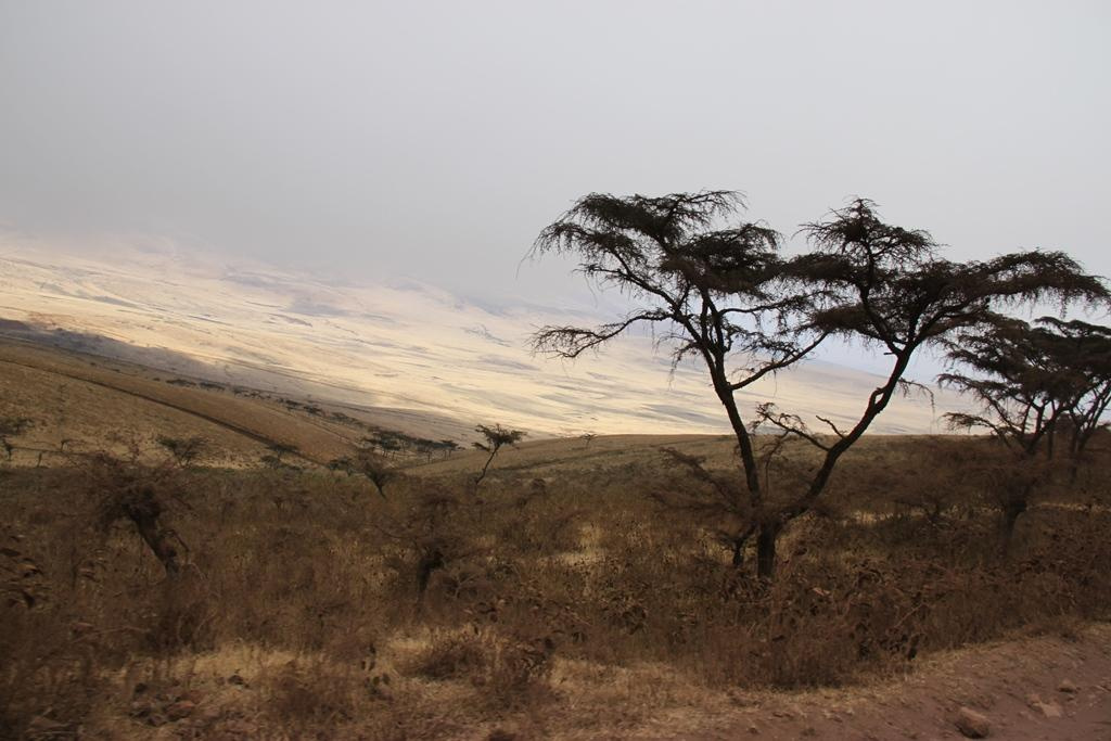 Ngorongoro Conservation Area. Andrey Filippov Photographer